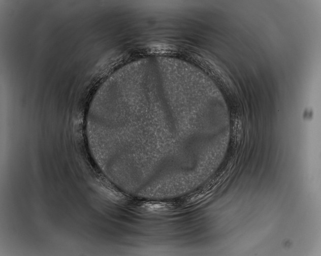 X0000099470557200805301559