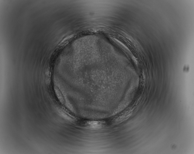 X0000099470558200805301559