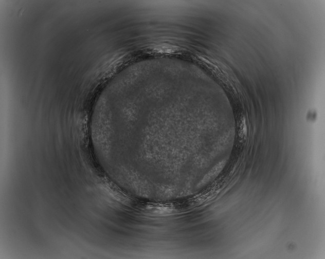 X0000099470559200805301559