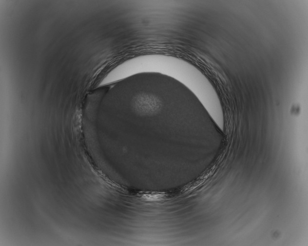 X0000099470560200805301559