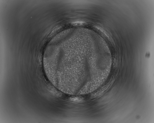 X0000099470561200805301559