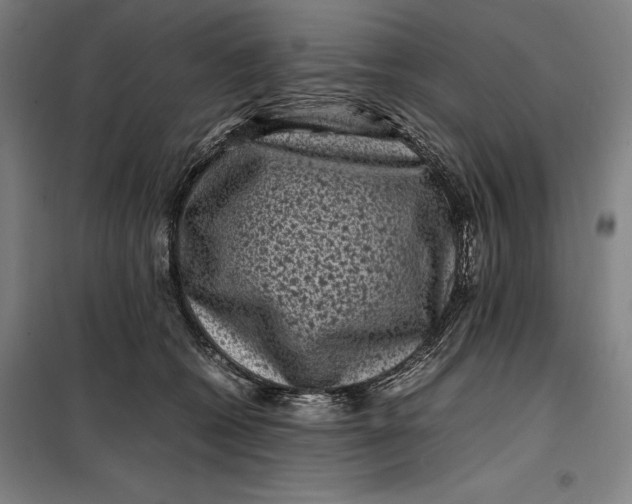 X0000099470562200805301559