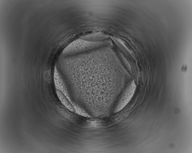 X0000099470564200805301559