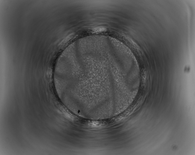 X0000099470565200805301559