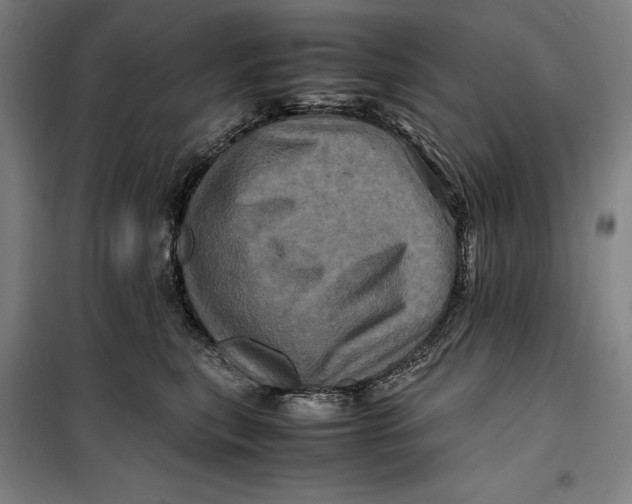 X0000099470567200805301559