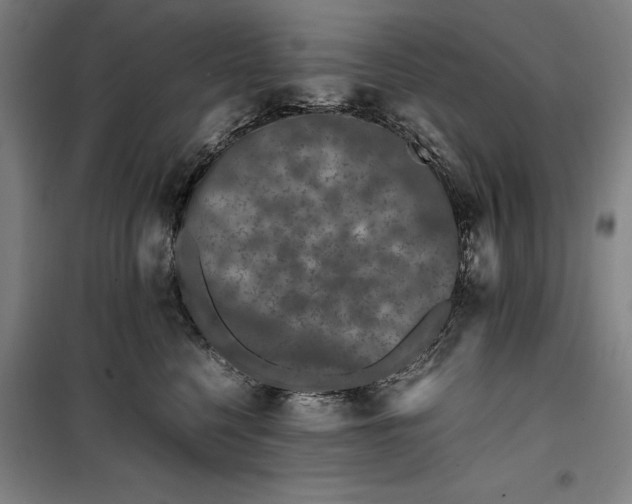 X0000099470568200805301559