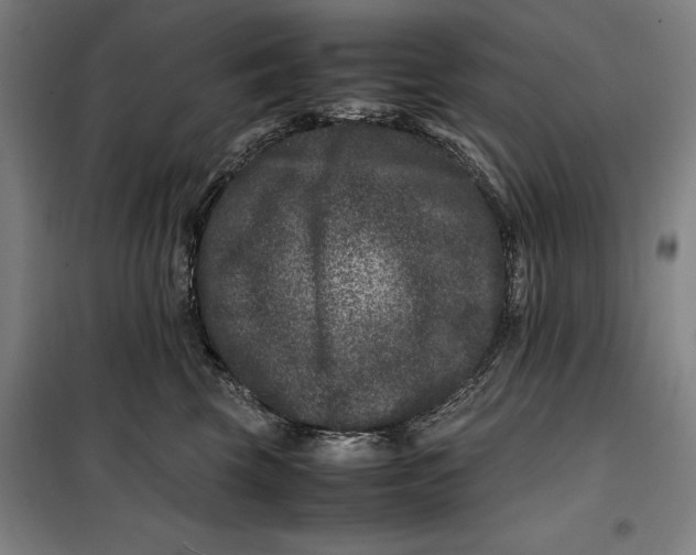 X0000099470569200805301559