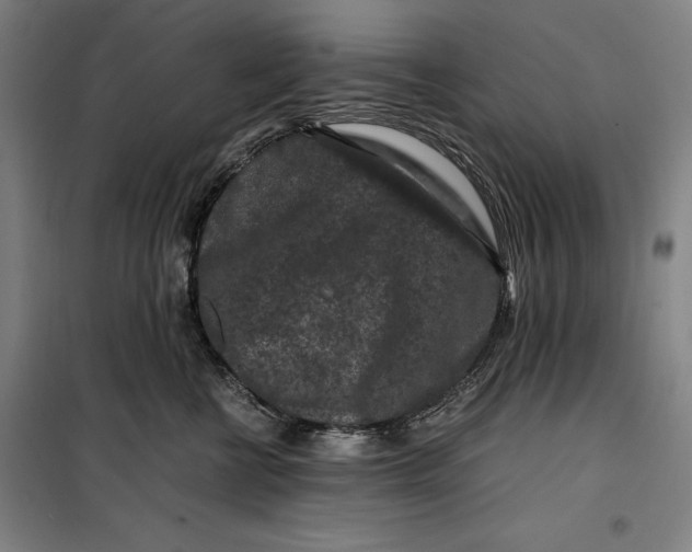 X0000099470570200805301559