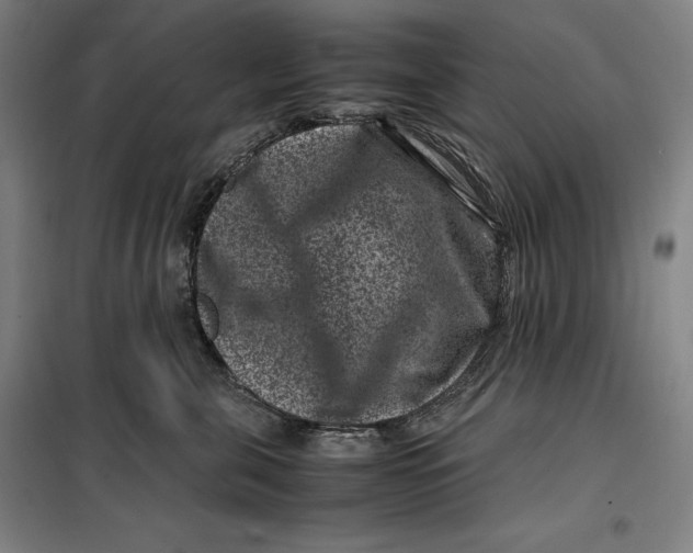 X0000099470571200805301559