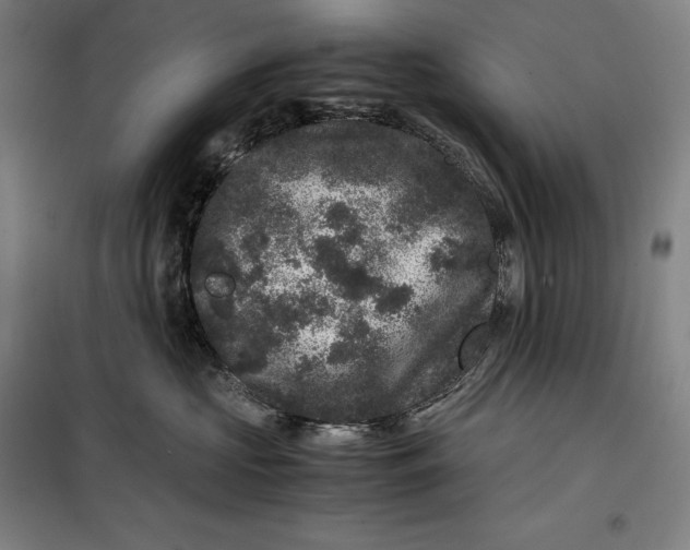 X0000099470573200805301559