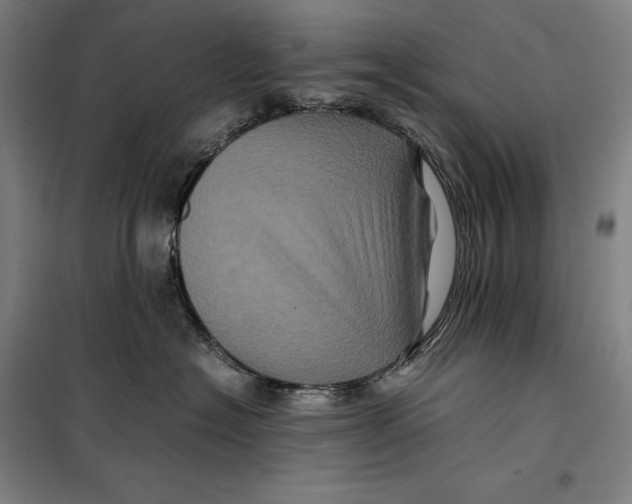 X0000099470574200805301559