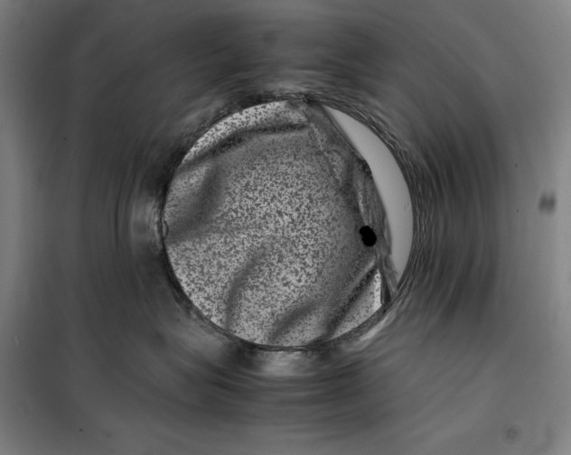 X0000099470575200805301559