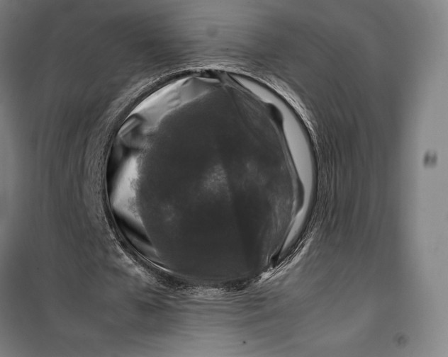 X0000099470577200805301558