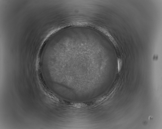 X0000099470579200805301558