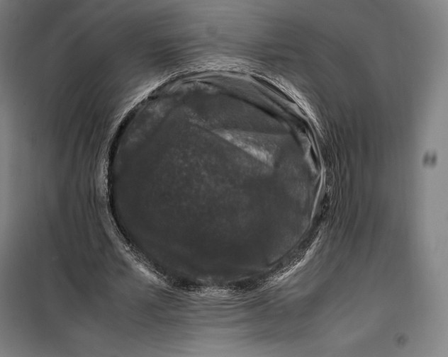 X0000099470581200805301558