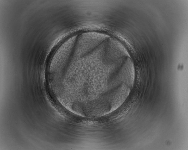 X0000099470582200805301558