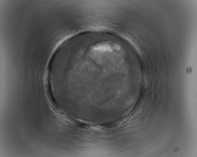 X0000099470583200805301558