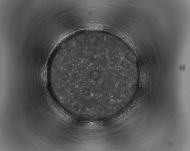 X0000099470584200805301558