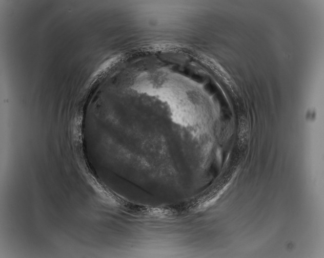 X0000099470585200805301558