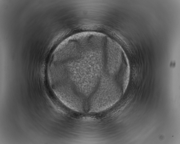 X0000099470586200805301558