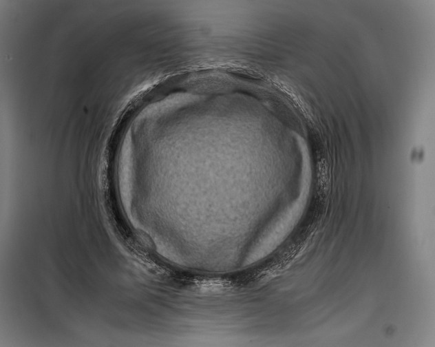 X0000099470587200805301558