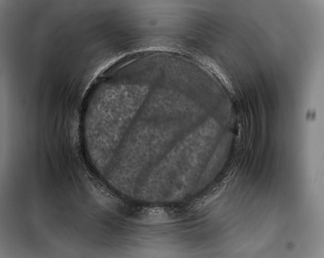 X0000099470588200805301558