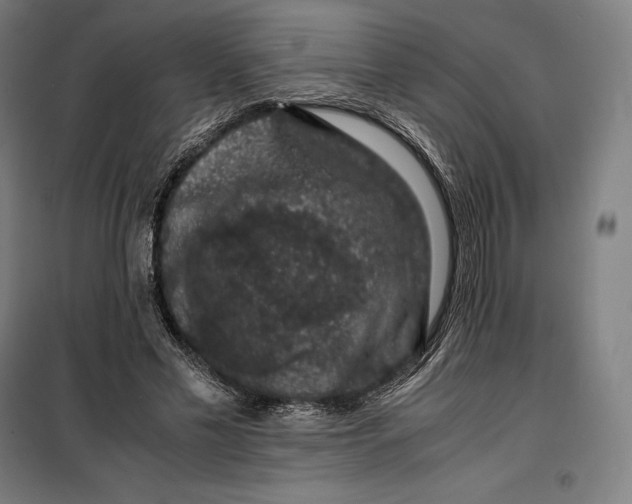 X0000099470589200805301558