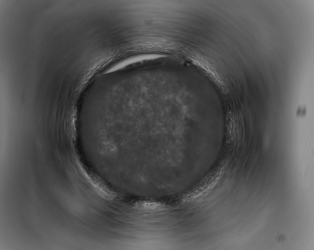 X0000099470590200805301558