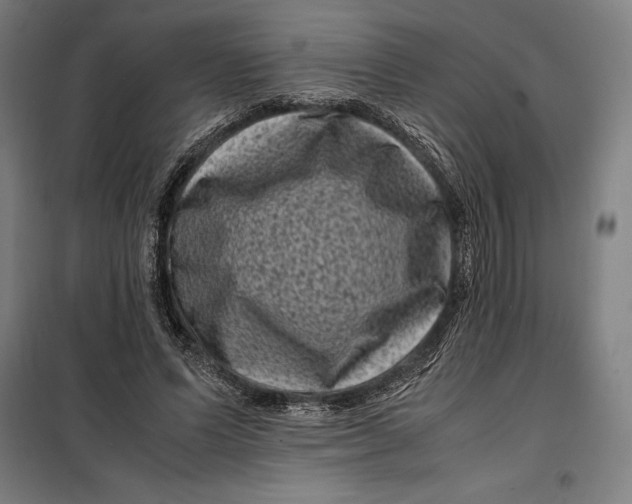 X0000099470591200805301558