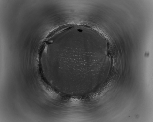 X0000099470592200805301558