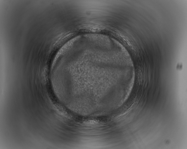 X0000099470594200805301558