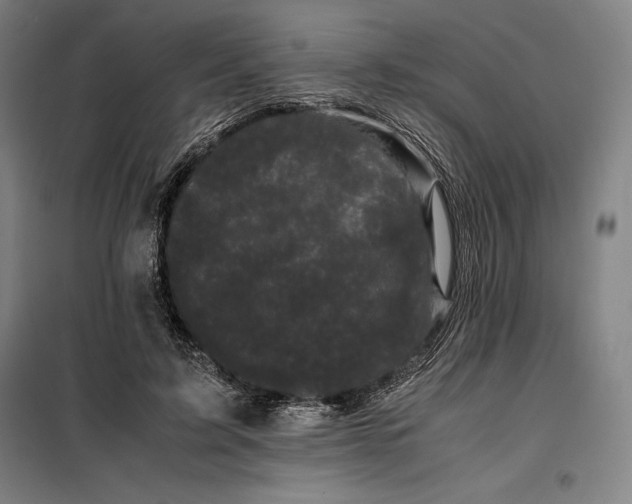 X0000099470595200805301558