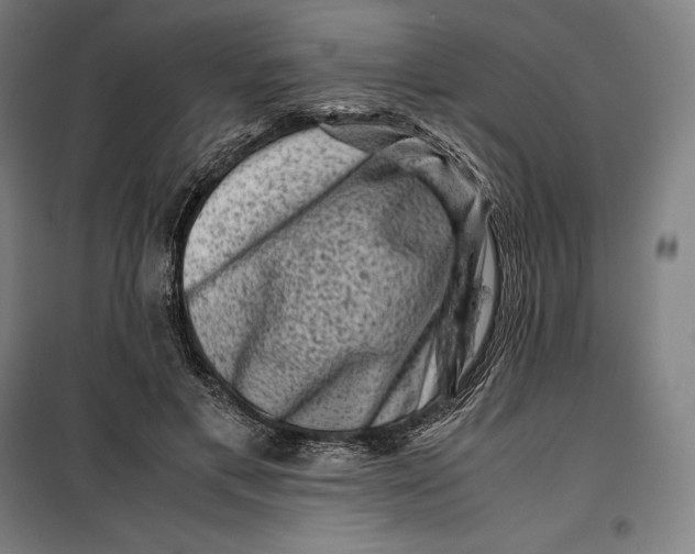 X0000099470597200805301558