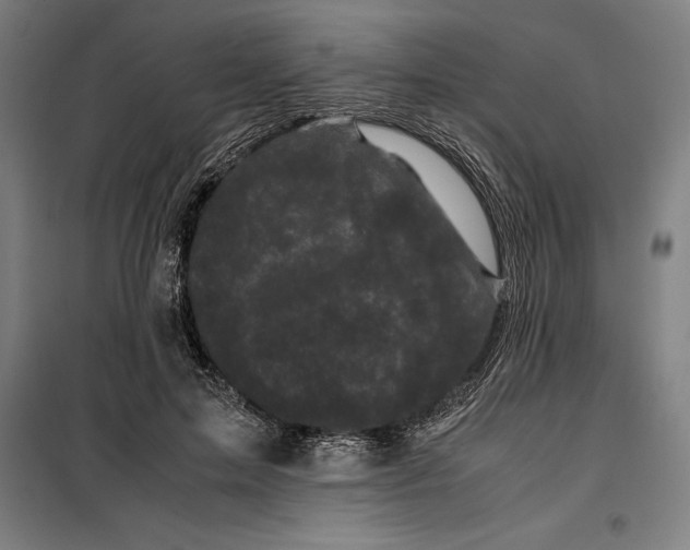 X0000099470599200805301558