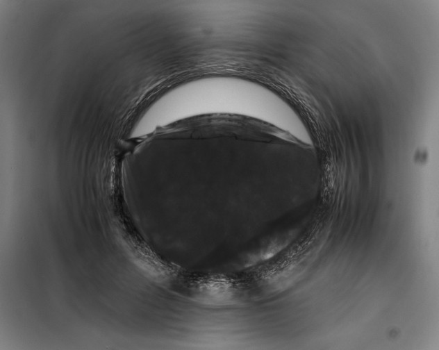 X0000099470600200805301558