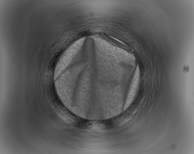 X0000099470601200805301558