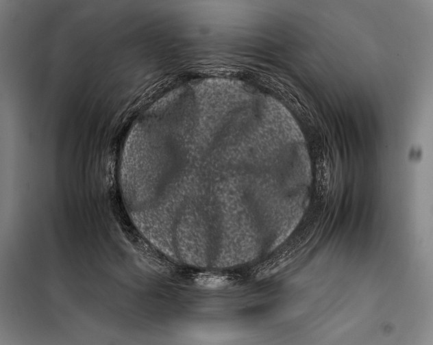 X0000099470602200805301558