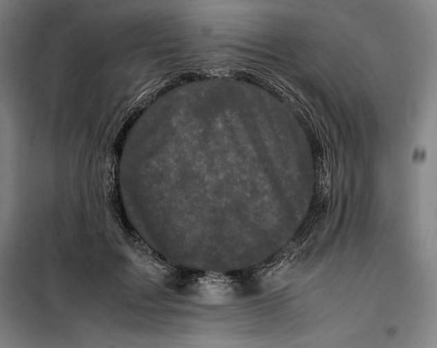 X0000099470603200805301558