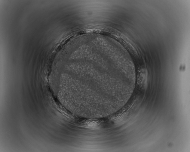 X0000099470604200805301558