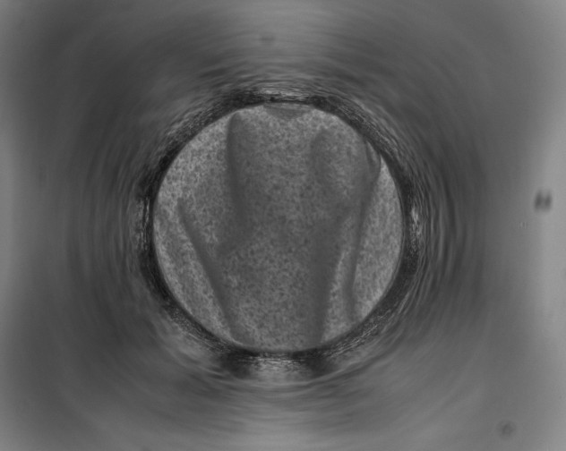 X0000099470605200805301558