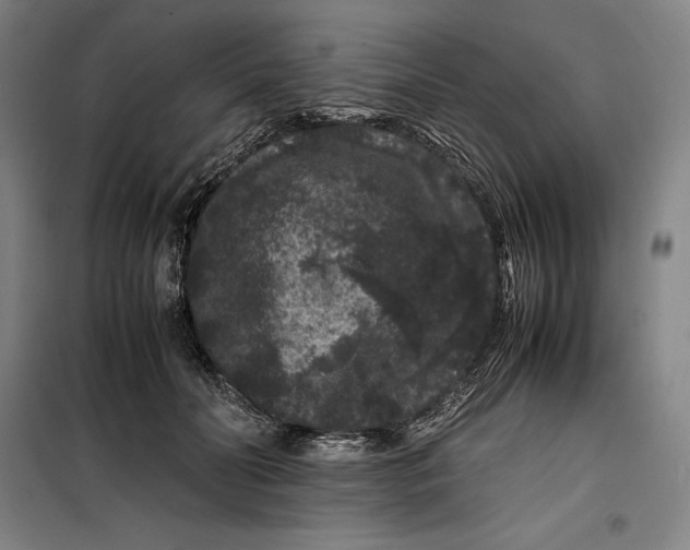 X0000099470606200805301558