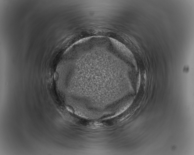 X0000099470607200805301558