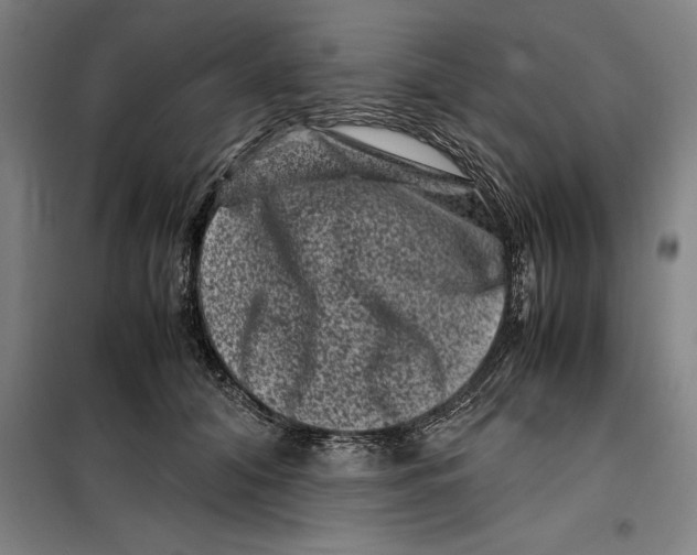 X0000099470608200805301558