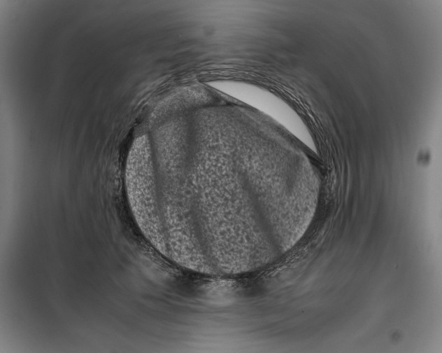 X0000099470609200805301558