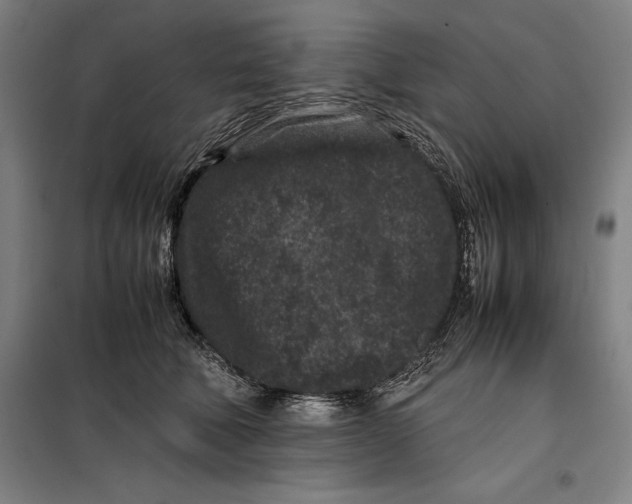 X0000099470610200805301558