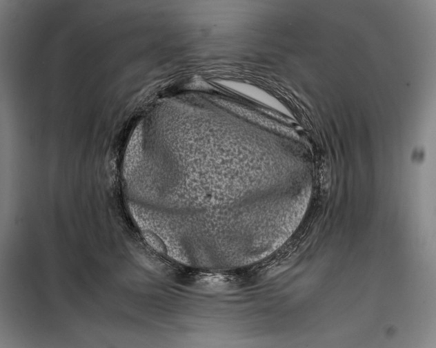 X0000099470611200805301558