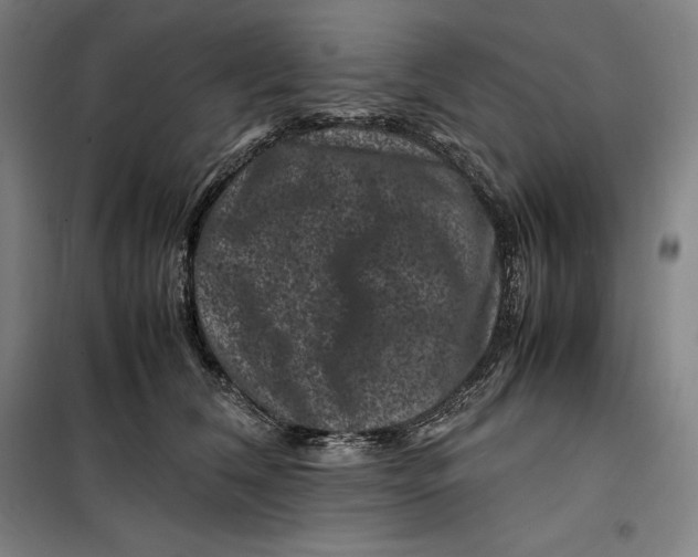 X0000099470612200805301558