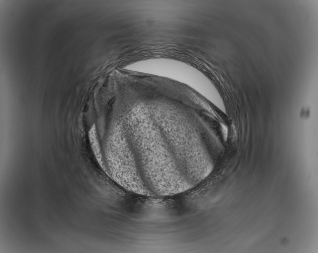 X0000099470613200805301557