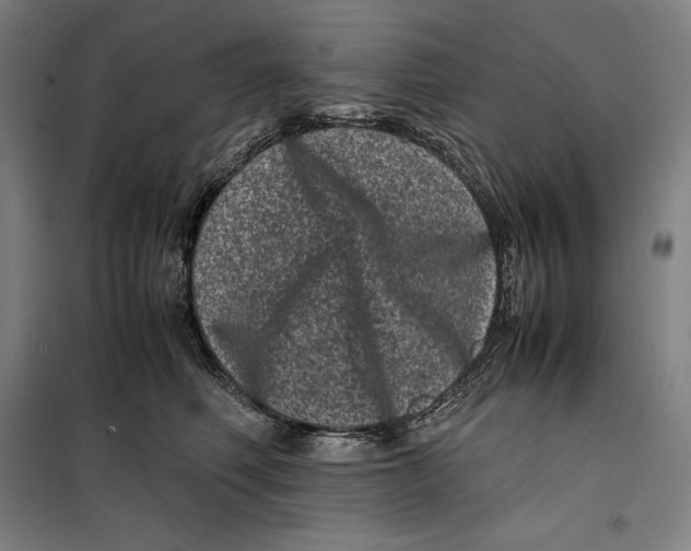 X0000099470614200805301557