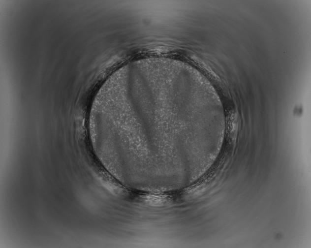 X0000099470615200805301557